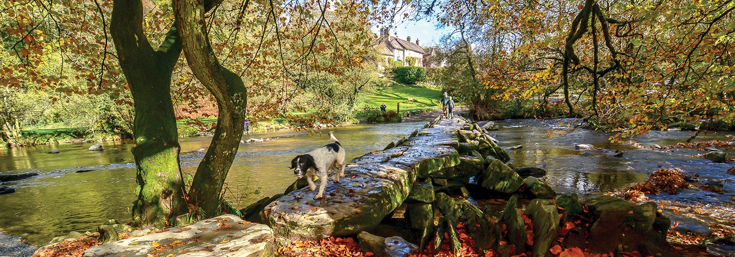 Tarr Steps in Autumn