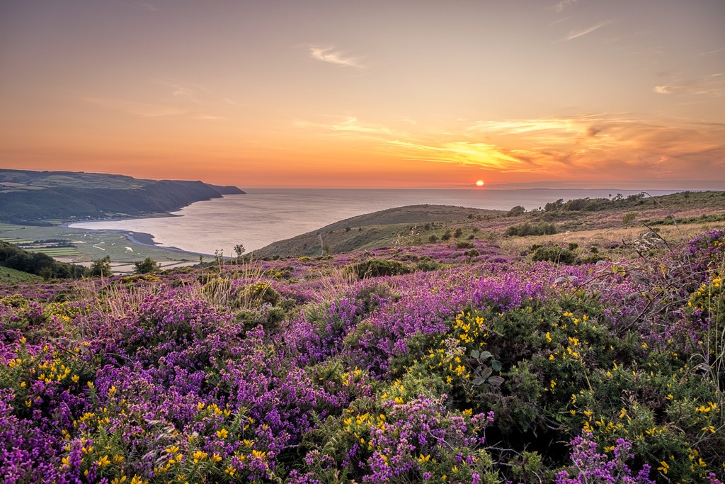 Sunset from Bossington Hill - Shaun Davey