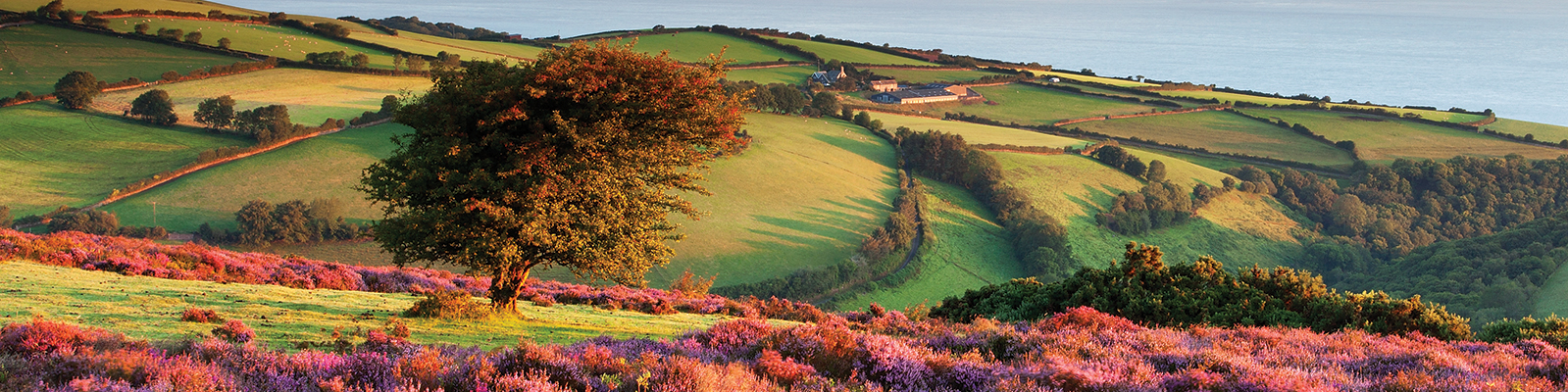 Sunrise On Porlock Hill