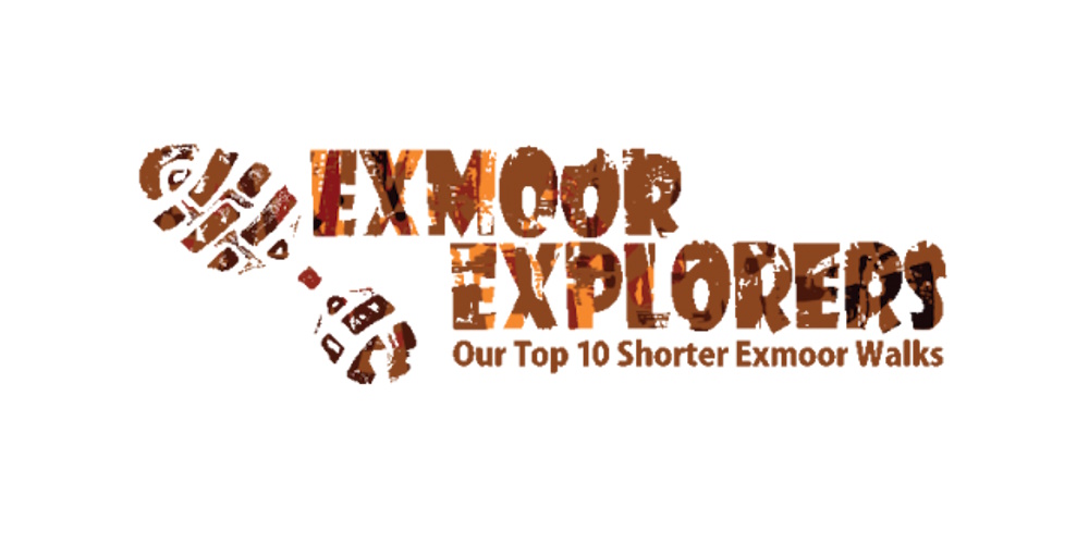 Explorer Image