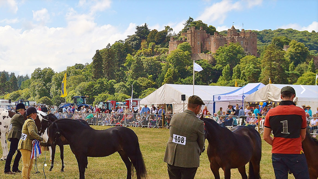 Dunster Show