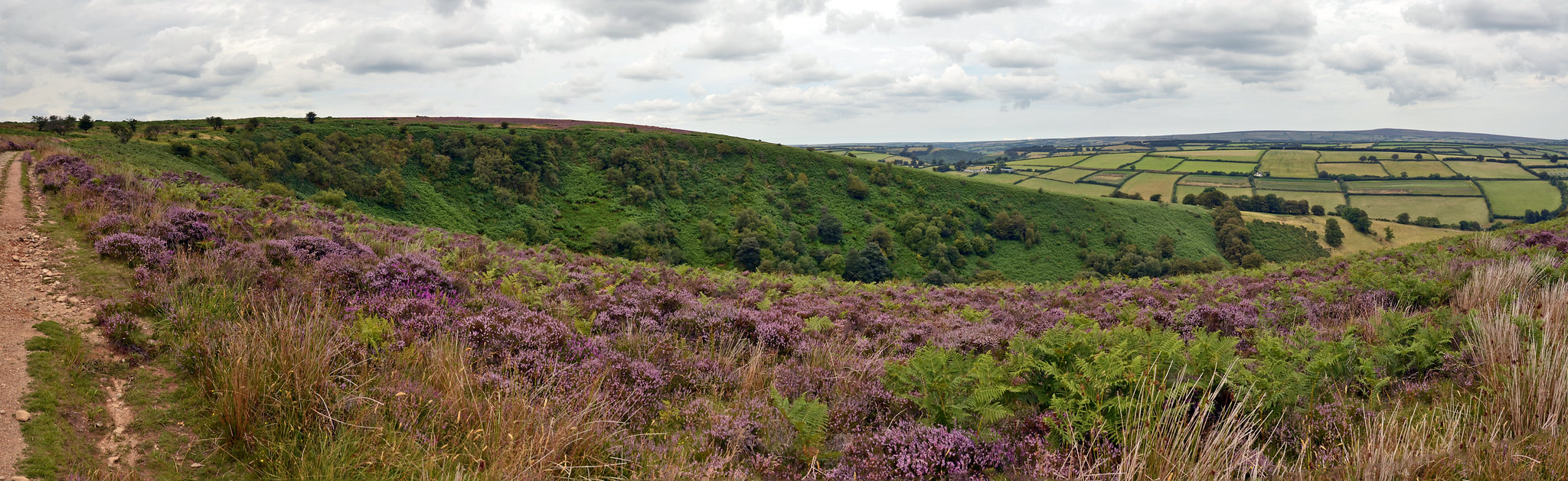 View from the Punchbowl