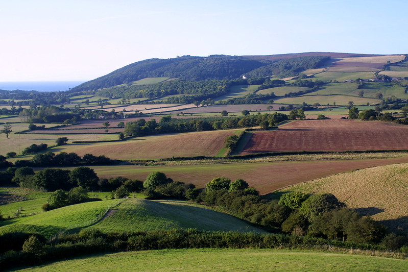 Exmoor Farmland