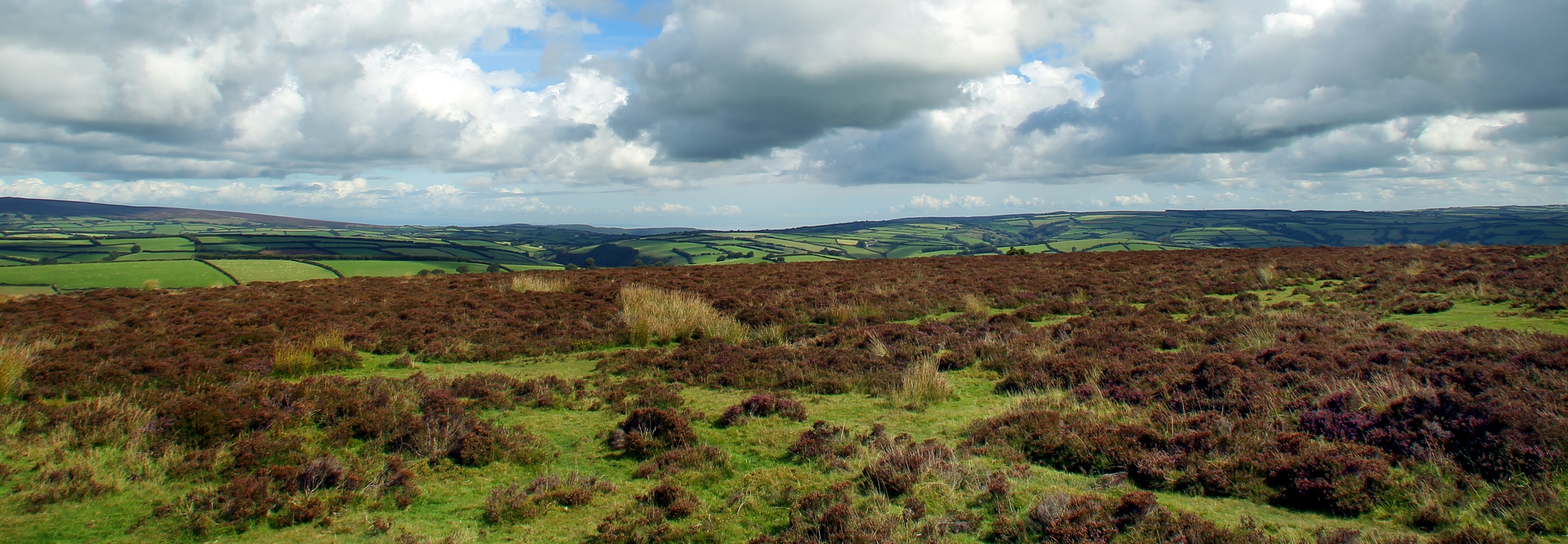 Exmoor landscape