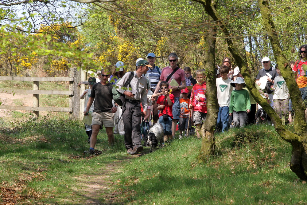 Group on Exmoor