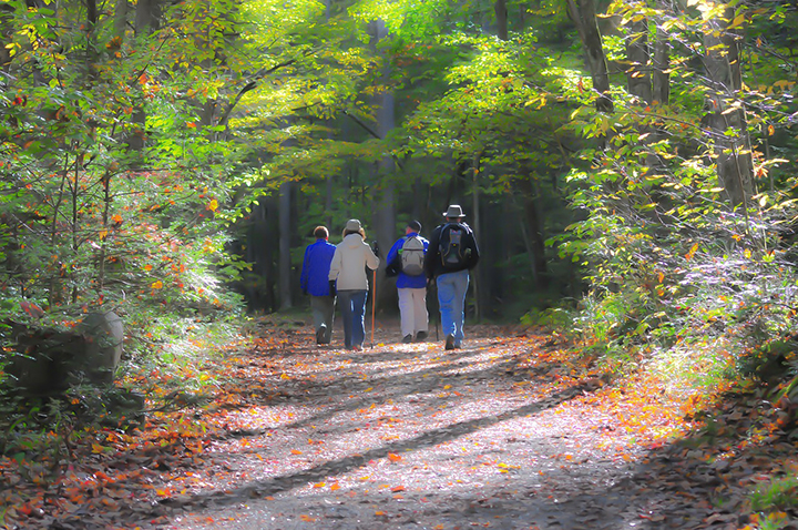 Literary Walk in the Doone Valley