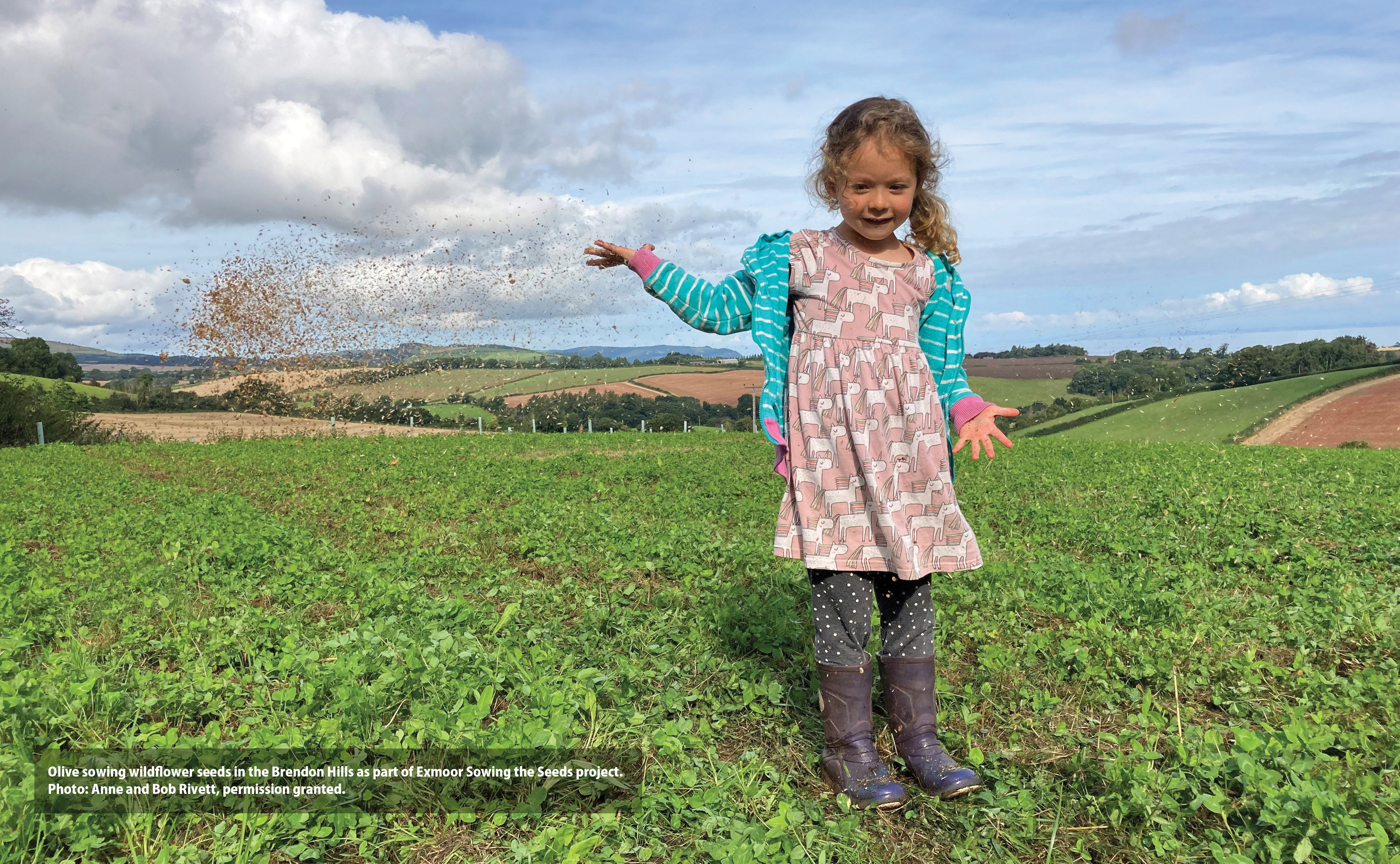 Olive sowing wildflower seeds in the Brendon Hills