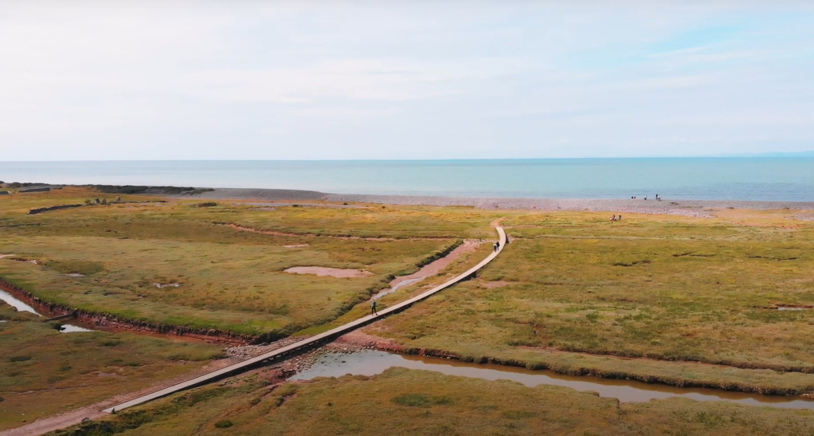 Porlock Marsh Teaser