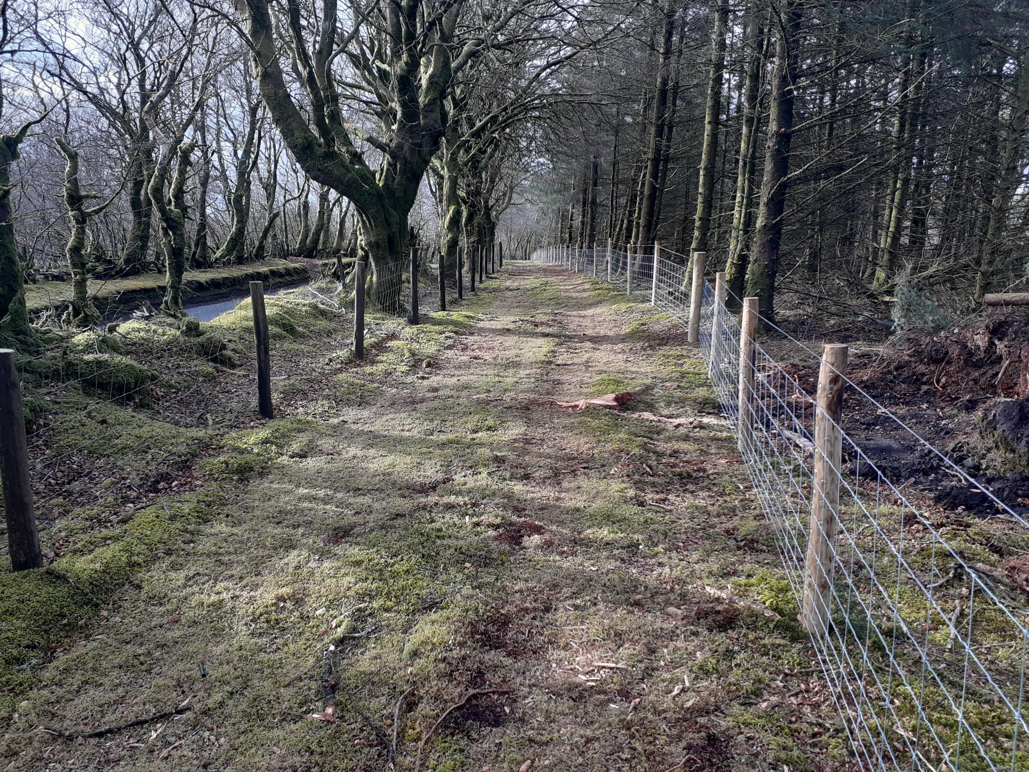 Pittcombe Head Permissive Bridleway