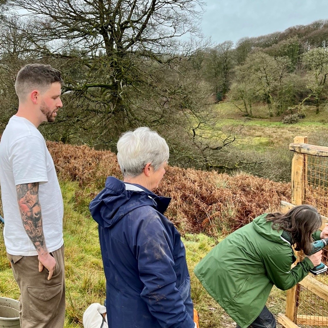 Parkland Tree Planting