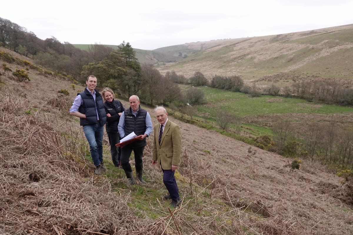 Kings Wood site visit