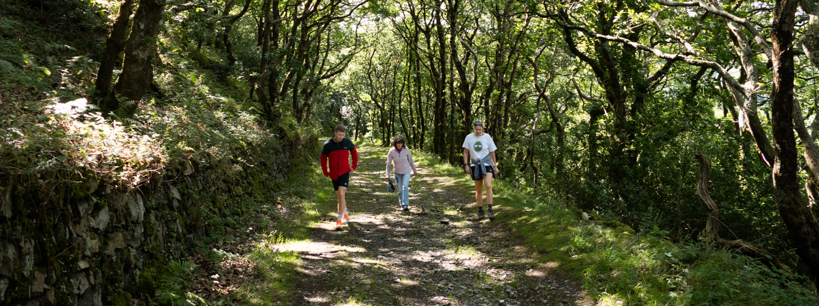 woodland walkers