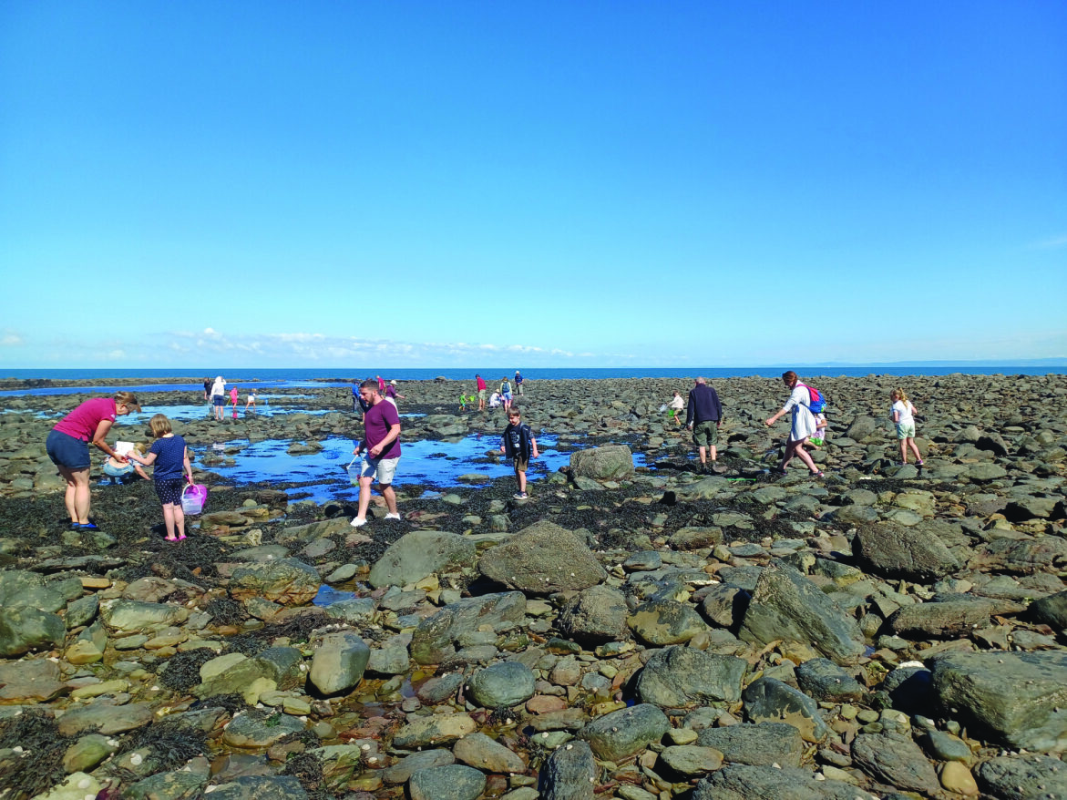 Rockpooling