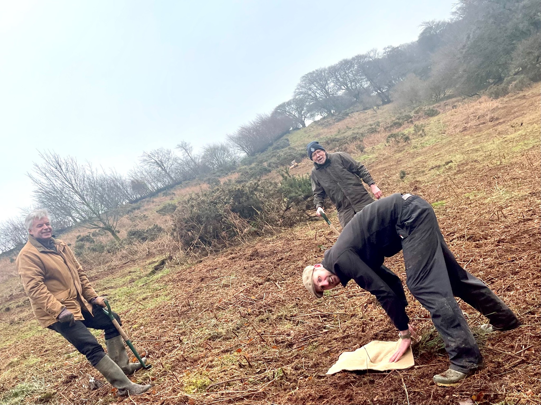 Tree Planting Kingswood