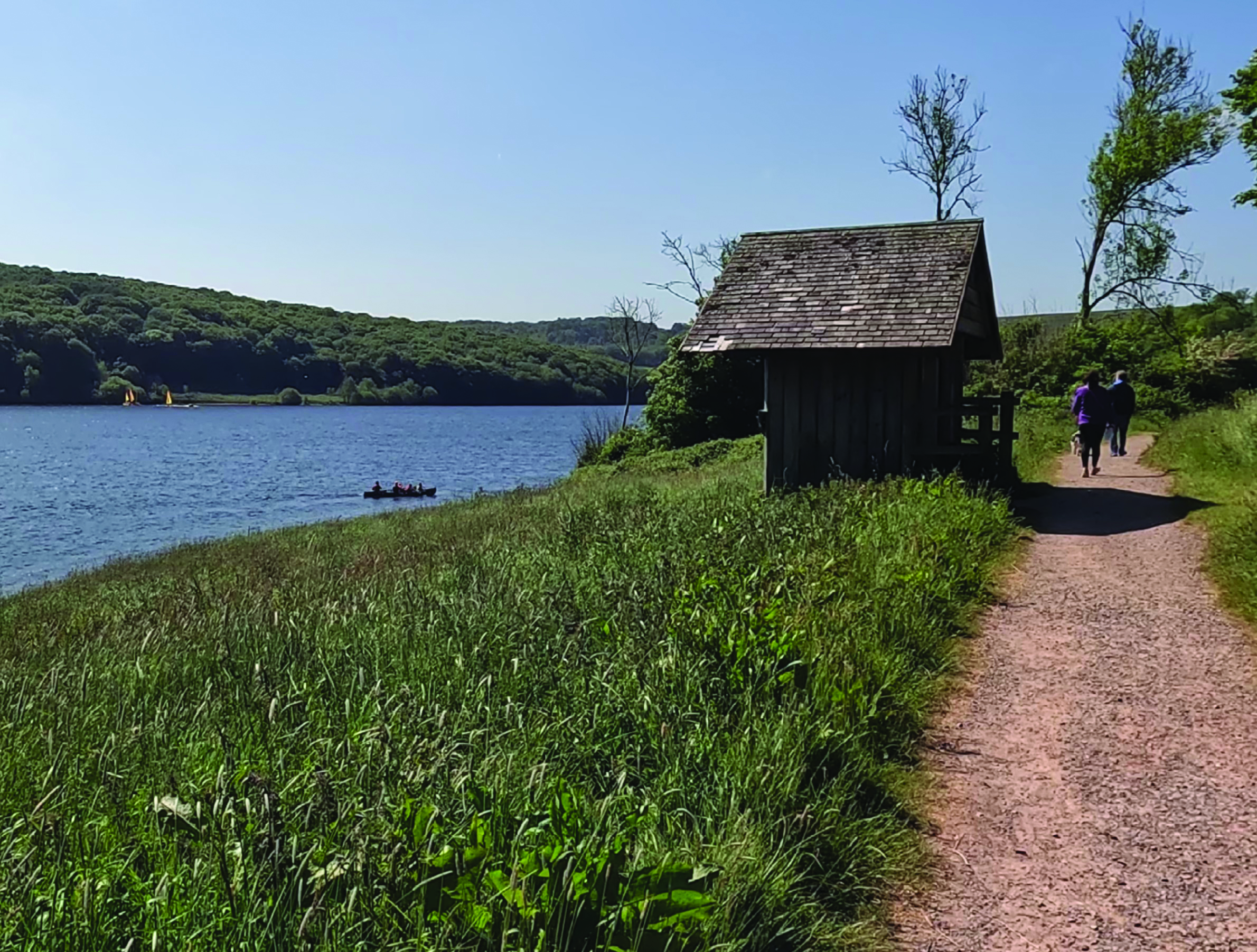 Path by bird hide at Wimbleball Lake