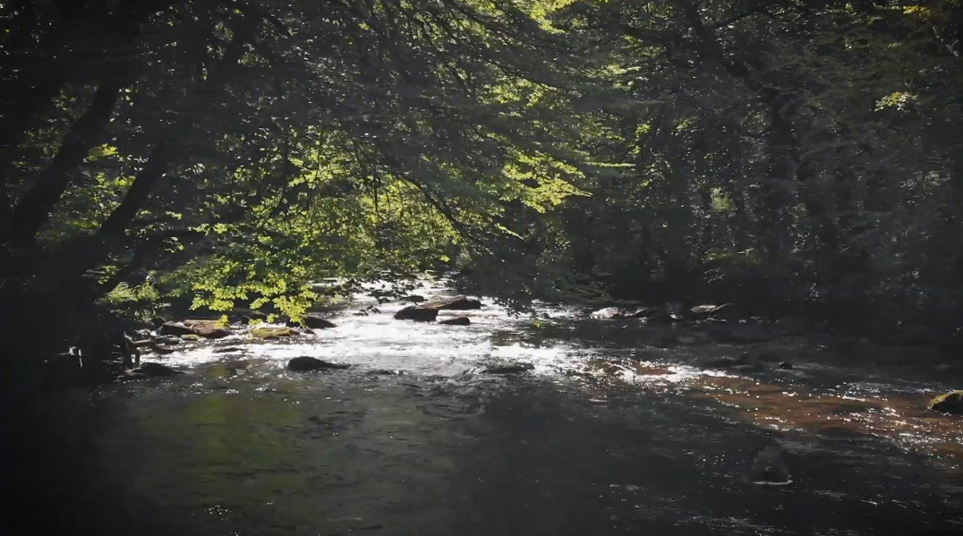 Tarr steps video teaser