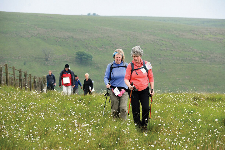 Photo of group of people walking