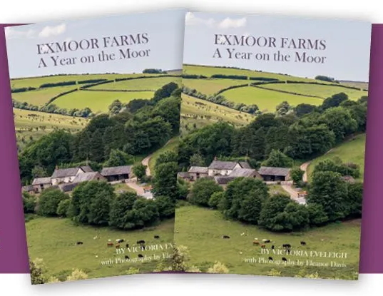 Cover image of Exmoor Farms book