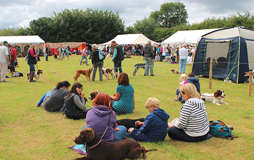 Photo of people at a country show