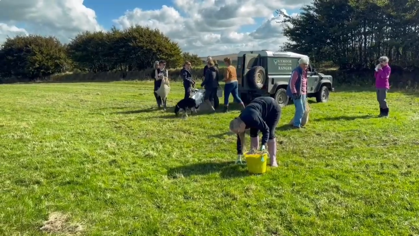 Meadow restoration work on Exmoor